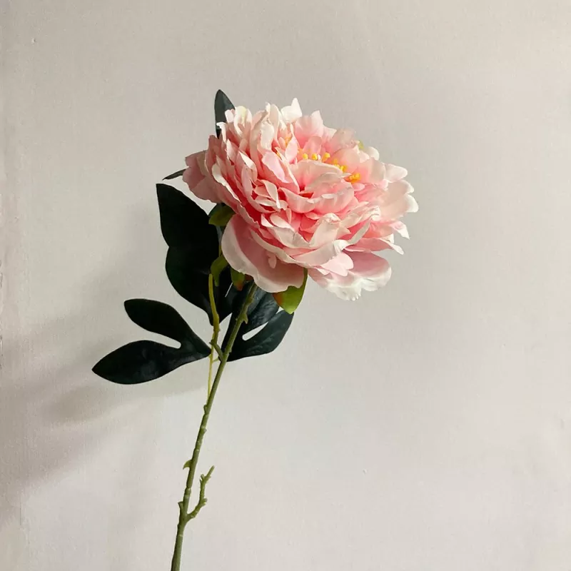 लामो एकल स्टेम नक्कली परेशनी
