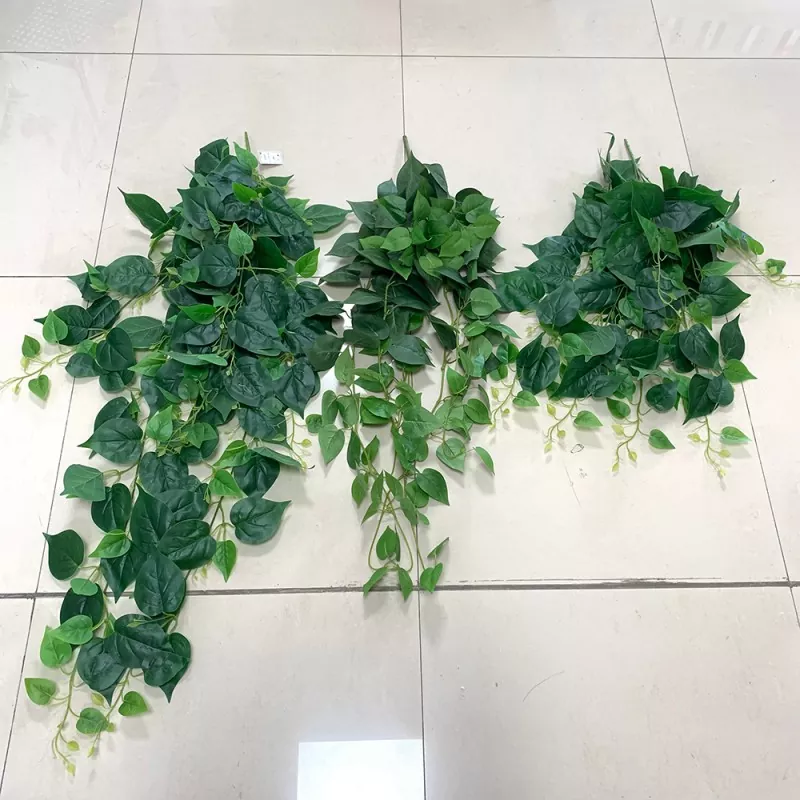 पर्खाल ह्या hang ्गली बोटबिरुवाहरू